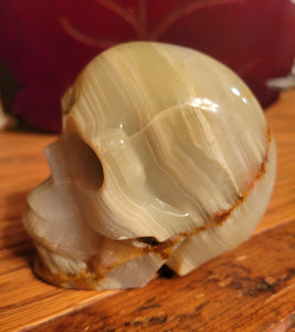 Green Onyx Skull with Beautiful Banding, Crystal Carving, Gorgeous!