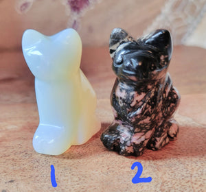 Cat, Kitten, Kitty, Crystal Carvings, Adorable!