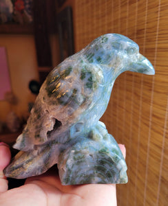 Druzy Moss Agate Raven, Crow, Crystal Carving, Stunning!