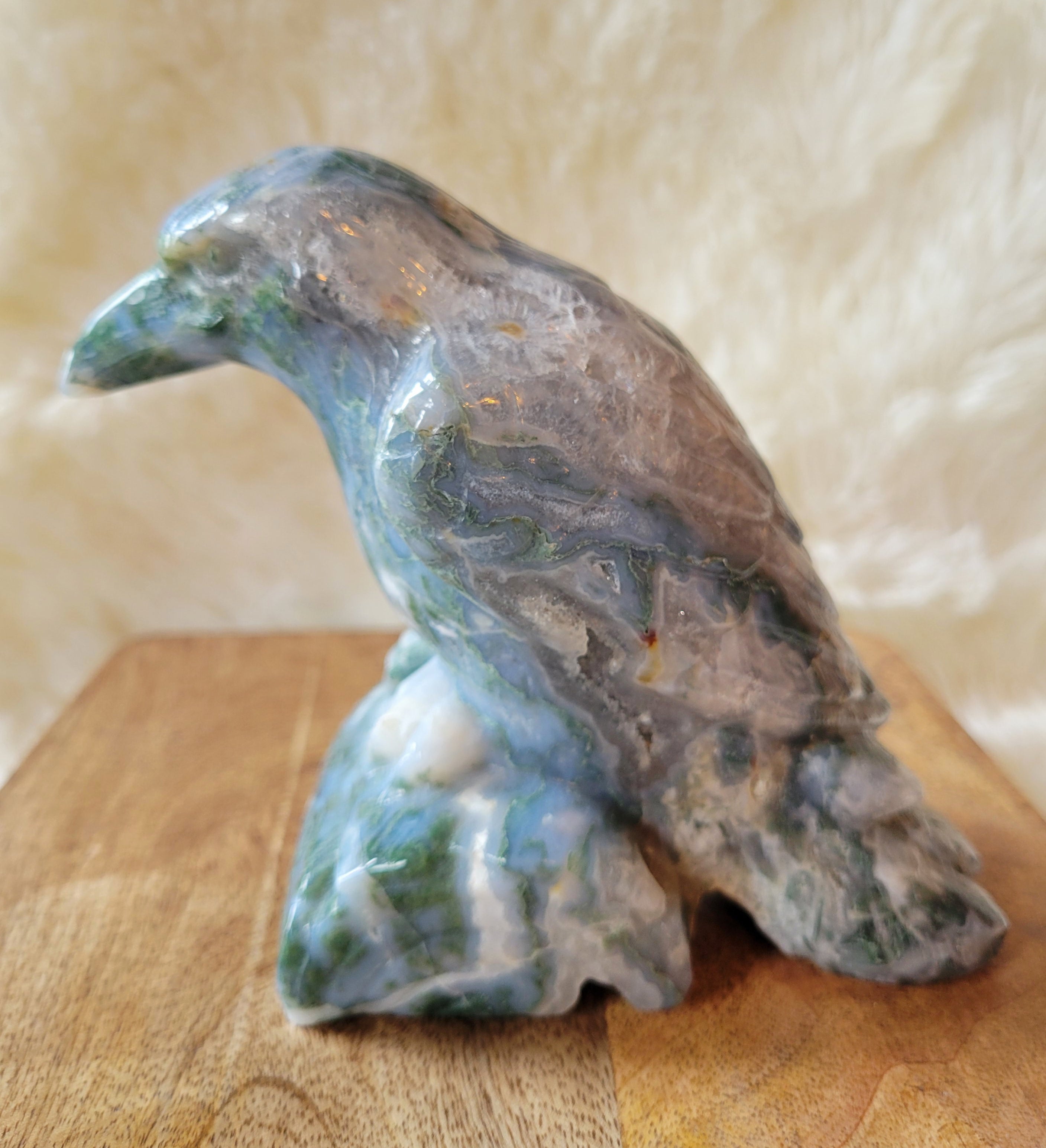 Druzy Moss Agate Raven, Crow, Crystal Carving, Stunning!