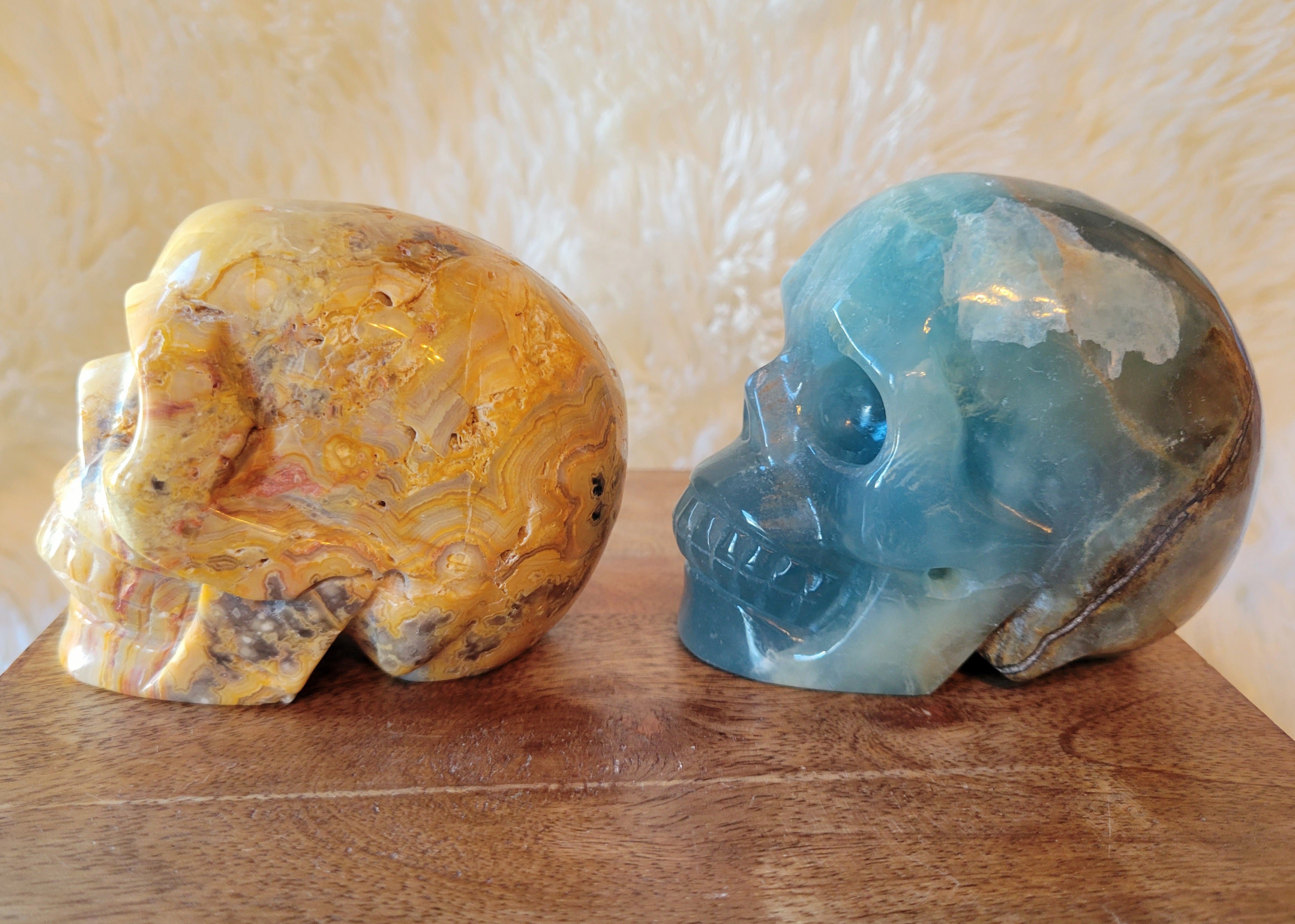 Blue Onyx & Crazy Lace Agate Skulls, Crystal Carvings, Gorgeous!