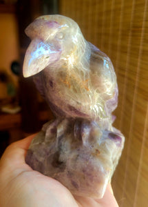 Amethyst Raven, Crow, Crystal Carving, Gorgeous!