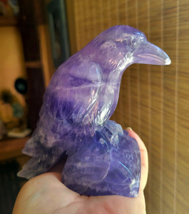 Indigo Fluorite Raven, Crow, Crystal Carving with beautiful Banding, Gorgeous!