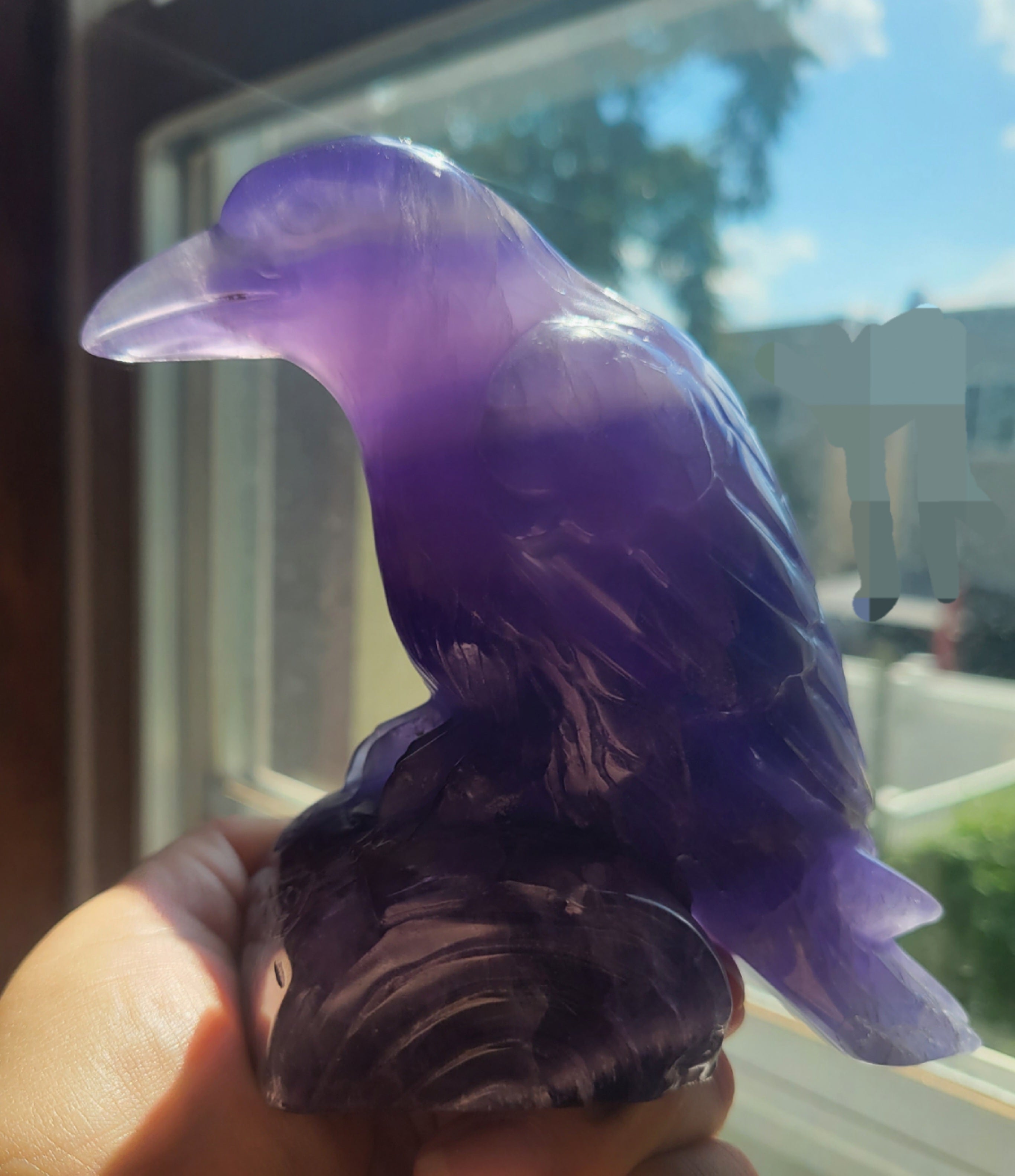 Indigo Fluorite Raven, Crow, Crystal Carving with beautiful Banding, Gorgeous!