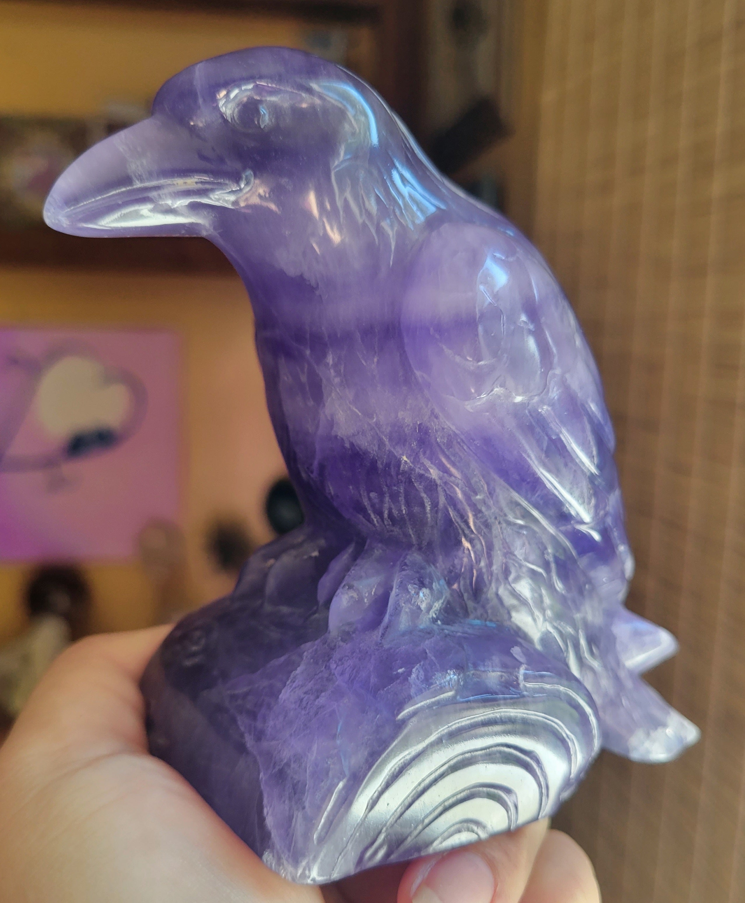 Indigo Fluorite Raven, Crow, Crystal Carving with beautiful Banding, Gorgeous!