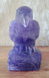 Indigo Fluorite Raven, Crow, Crystal Carving with beautiful Banding, Gorgeous!