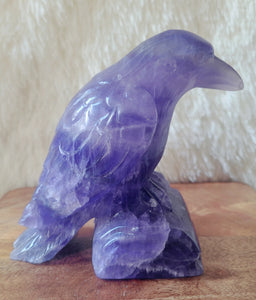 Indigo Fluorite Raven, Crow, Crystal Carving with beautiful Banding, Gorgeous!