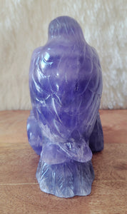 Indigo Fluorite Raven, Crow, Crystal Carving with beautiful Banding, Gorgeous!