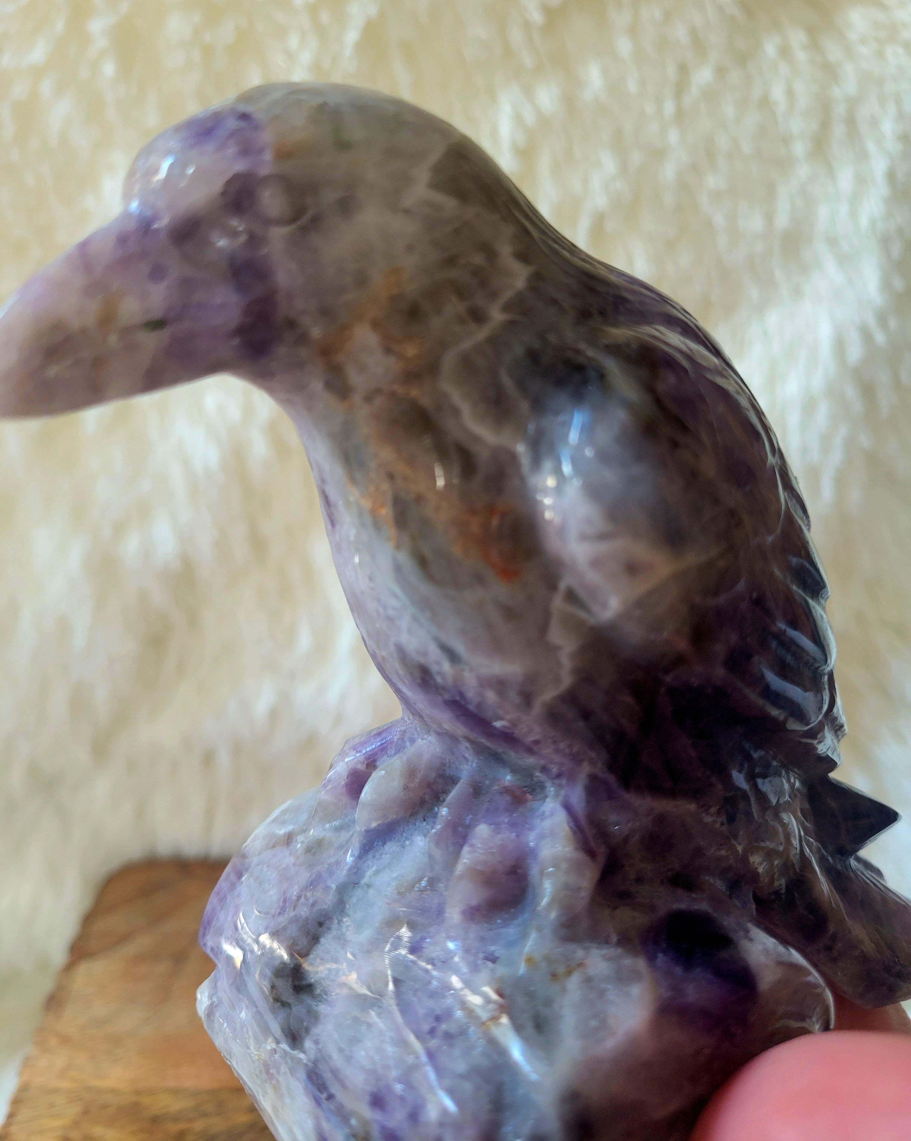 Amethyst Raven, Crow, Crystal Carving, Gorgeous!