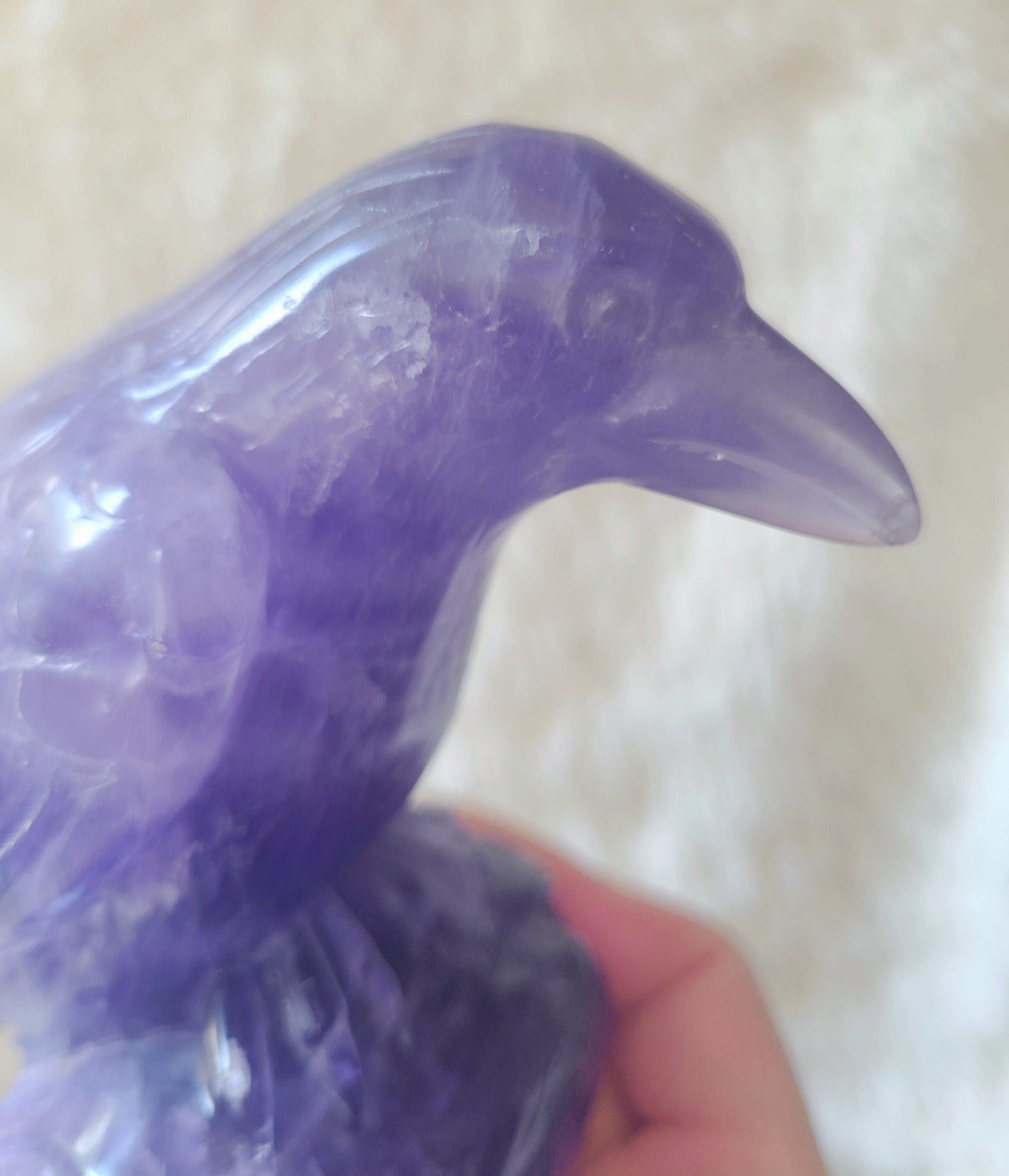 Indigo Fluorite Raven, Crow, Crystal Carving with beautiful Banding, Gorgeous!